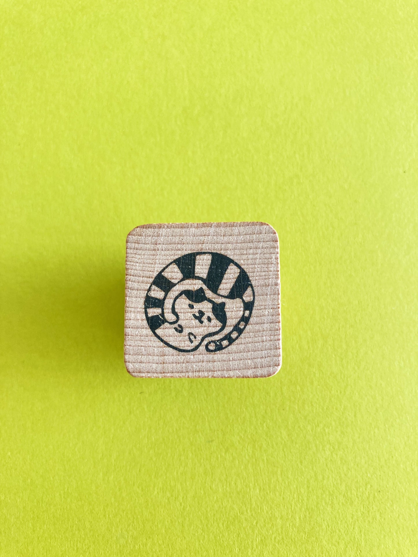 Wiggly Cat Rubber Stamp